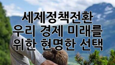 세제정책전환 💡 우리 경제, 미래를 위한 현명한 선택? 🤔