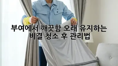 부여에서 깨끗함 오래 유지하는 비결? 청소 후 관리법!